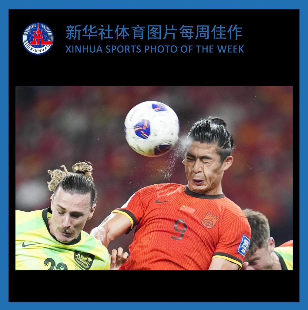 国乒男队优势缩水已是不争事实